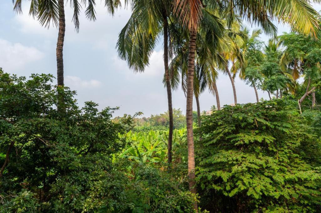 Saptami Hampi Homestay Exterior foto